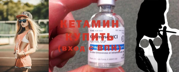 гашик Вяземский