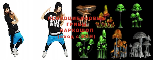 гашик Вяземский