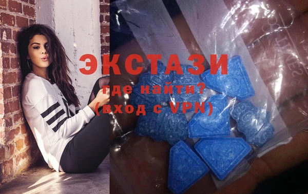 гашик Вяземский
