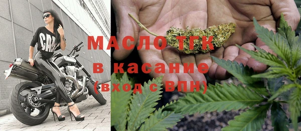 гашик Вяземский