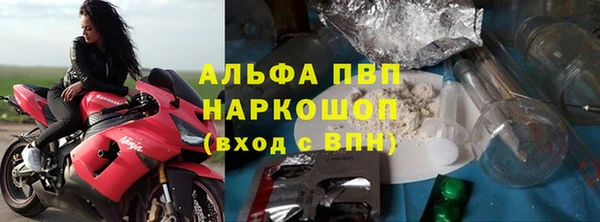 гашик Вяземский