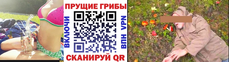 Галлюциногенные грибы Magic Shrooms kraken Новосокольники